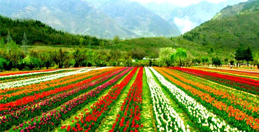 Srinagar tourism, srinagar tour package, places to visit in srinagar, srinagar trip, srinagar holiday packages