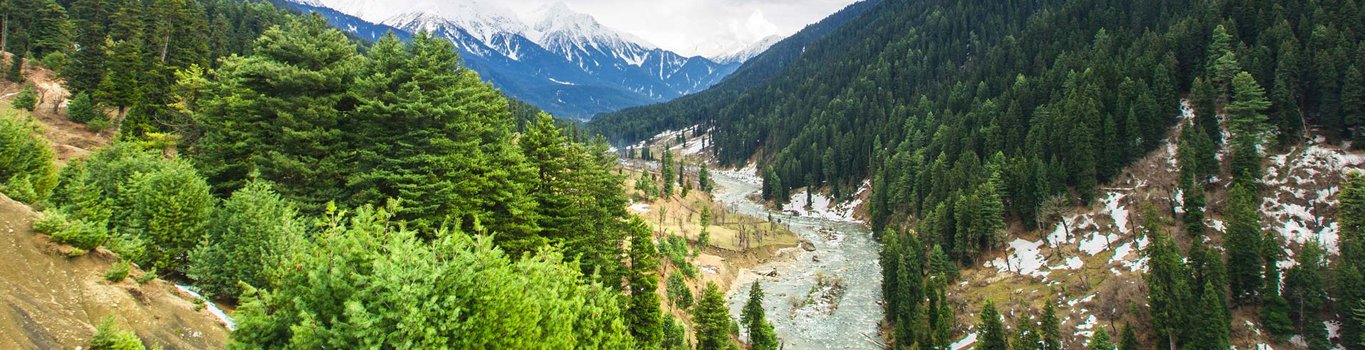 pahalgam sightseeing, aru valley hotels, srinagar to pahalgam distance , places to visit in pahalgam, betaab valley in pahalgam, delhi to pahalgam bus service