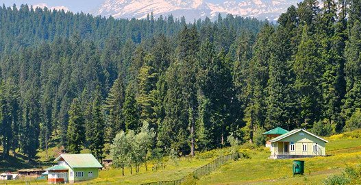place to visit in Sonmarg, sonmarg sightseeing tour , thajiwas glacier in sonmarg, sonmarg weather , best hotels in sonamarg, volvo bus service from delhi to jammu