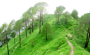 kasauli himachal pradesh,monkey point nicaragua , kasauli places to visit, kasauli hill station, kasauli places to stay,kasauli attractions, kasauli sightseeing, chandratal lake, hidimba devi temple, delhi to kasauli volvo bus, sehgal transport