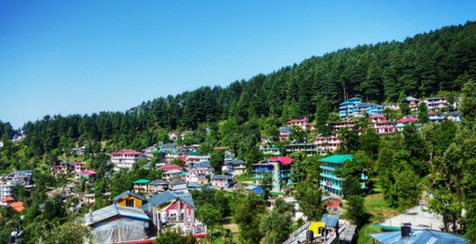 delhi to dharamshala volvo bus, tibet museum, things to do in dharamshala, places to visit in dharamshala, dharamshala sightseeing, tea garden, dharamshala cricket stadium, delhi to dharamshala luxury bus