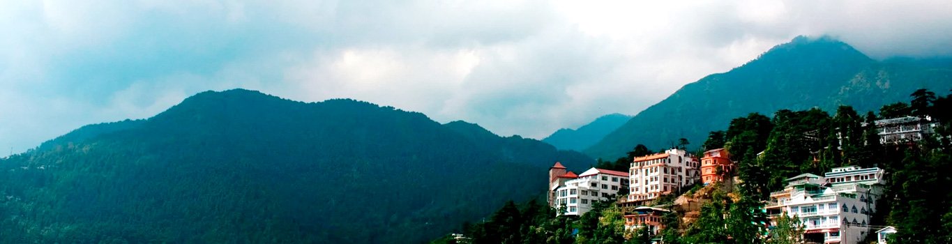 delhi to dharamshala volvo bus, tibet museum, things to do in dharamshala, places to visit in dharamshala, dharamshala sightseeing, tea garden, dharamshala cricket stadium