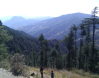 kufri tourism kufri places to visit, kufri snowfall time, himalayan nature park, kufri fun world, kufri temperature, mahasu peak, delhi to kufri, delhi to kufri bus, tempo traveller in delhi"