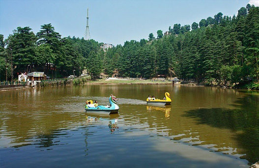 delhi to dharamshala volvo bus, tibet museum, things to do in dharamshala, places to visit in dharamshala, dharamshala sightseeing, tea garden, dharamshala cricket stadium, delhi to dharamshala luxury bus
