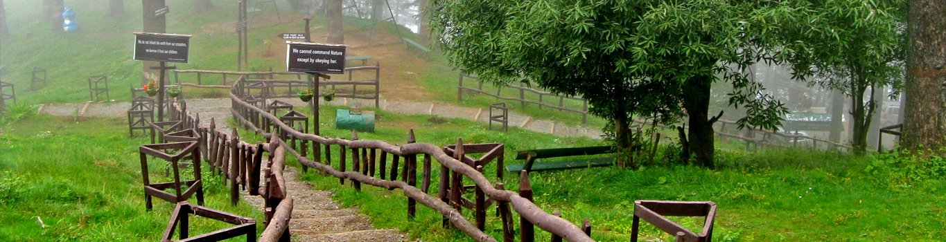 camping in dhanaulti, dhanaulti snowfall, dhanaulti hill station, dhanaulti sightseeing, eco park, surkanda devi temple, devgarh fort, trekking in dhanaulti, delhi to dhanaulti volvo bus, tempo traveller on rent in delhi, Luxury bus booking