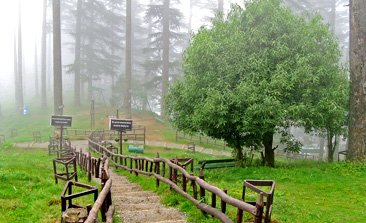 camping in dhanaulti, dhanaulti snowfall, dhanaulti hill station, dhanaulti sightseeing, eco park, surkanda devi temple, devgarh fort, trekking in dhanaulti, delhi to dhanaulti volvo bus, tempo traveller on rent in delhi, Luxury bus booking
