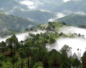 places to see in lansdowne, places to visit in lansdowne, lansdowne tourism, lansdowne tourist places, jungle safari in lansdowne, tip n top, tarkeshwar mahadev temple, delhi to lansdowne bus, tempo traveller on rent, tata coach bus