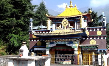 delhi to dharamshala volvo bus, tibet museum, things to do in dharamshala, places to visit in dharamshala, dharamshala sightseeing, tea garden, dharamshala cricket stadium, delhi to dharamshala luxury bus